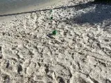 Fun Beach Game-6