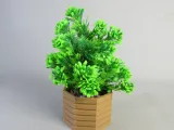 Hexagonal Bonsai Pot-1
