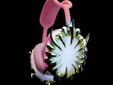 Airpods Max Attachments #RoZ-2