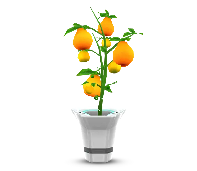 Mystery Fruit