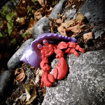 Hermit crab (cute, semi-realistic)