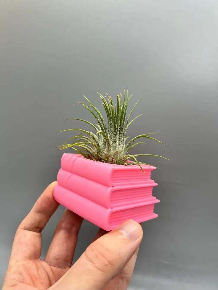 Books air plant holder