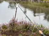 Fishing rod holder-2