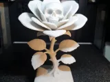 Rosa Calavera.  Skull Rose.-1