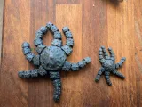 Flexible Starfish - Sevenflex-3