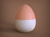 Egg Shaped Container-4