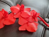 Flor Orquídea-2