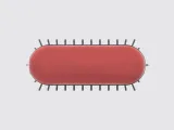 Hair Brush-5