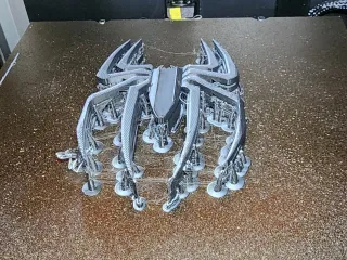Text Flip - Spider 🕷