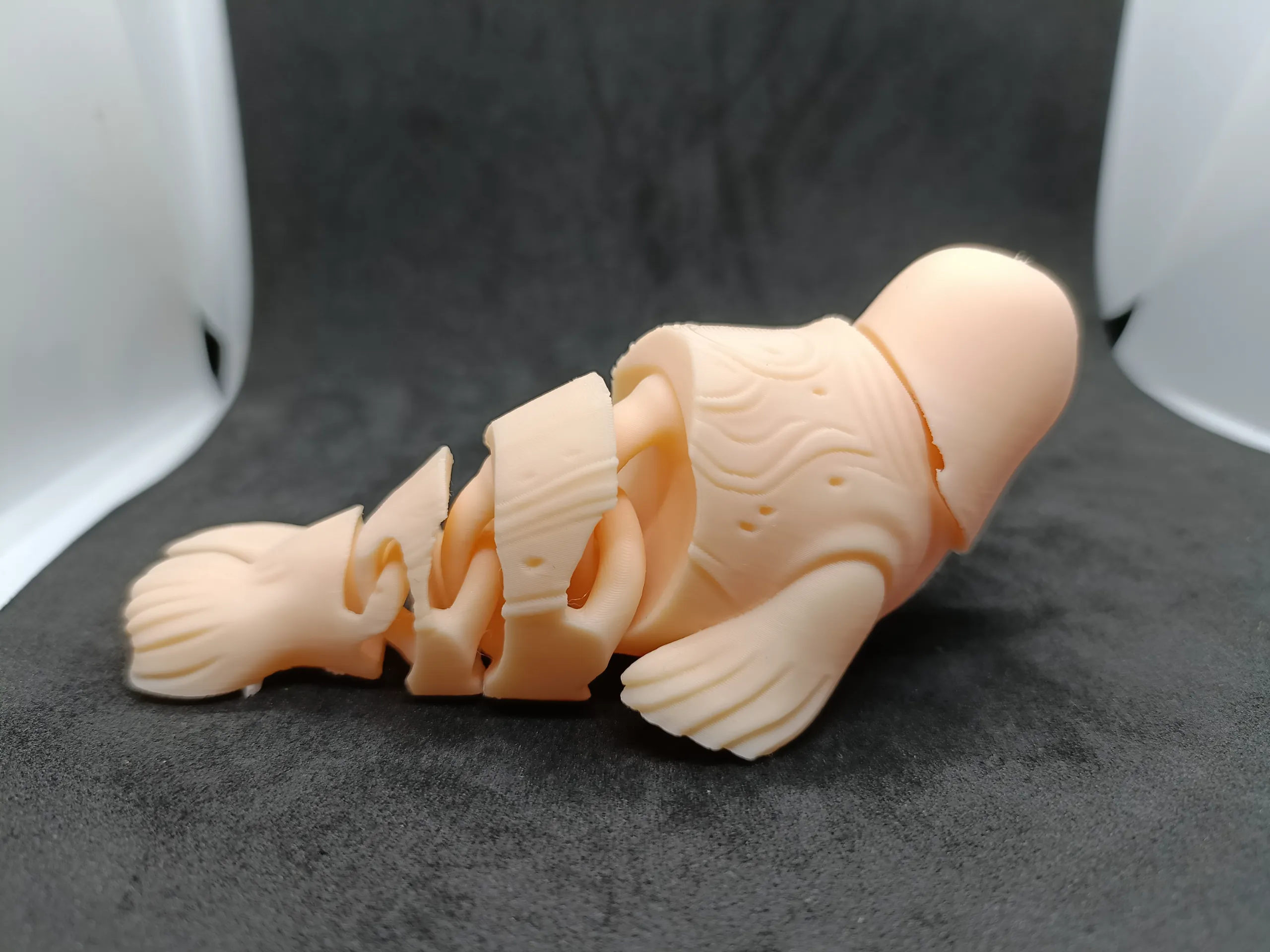 Articulated Harp Seal – Articulated Animal 3D Toy