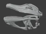 Acanthodes Skull-2