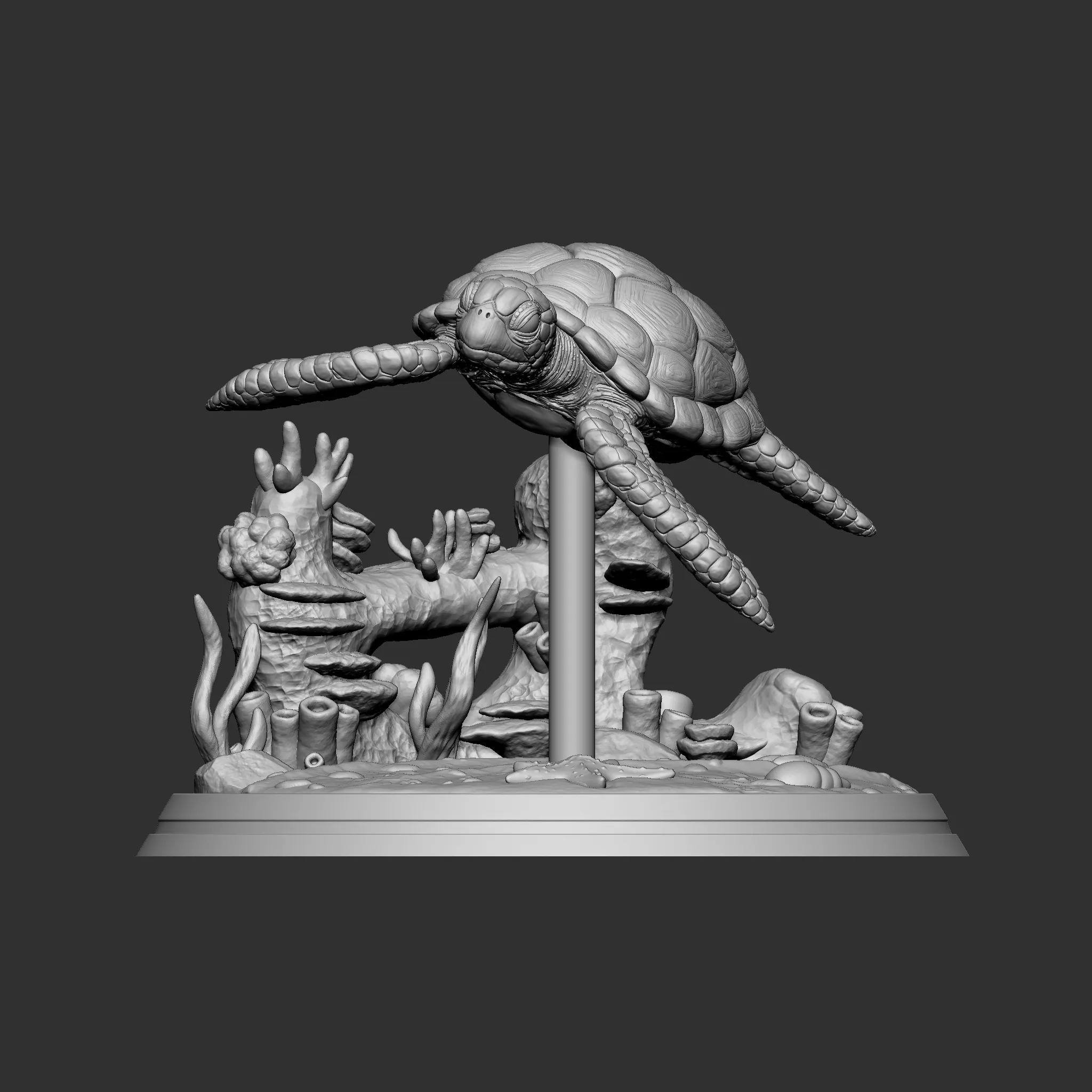 Green sea turtle 3D print model