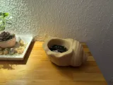 Muschelschale Schlüsselschale-1