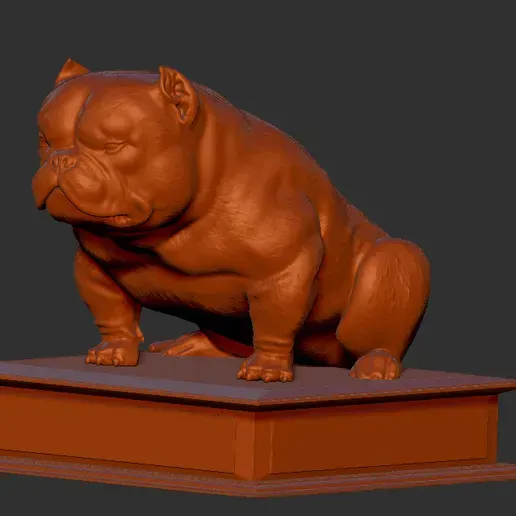 Exotic bully sitting