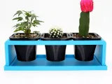 Nursery Pots-2