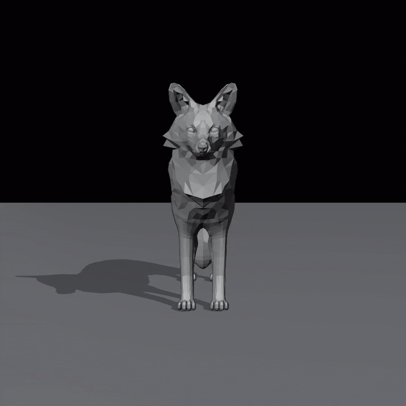 Geometric Fox-6