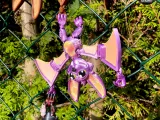 Articulated cute Bat 🦇-4