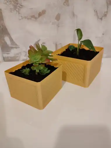 Planter-1