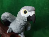 African Grey Pencil Holder-6
