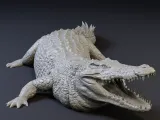 Nile crocodile-0