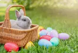 Easter bunny in basket