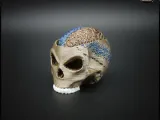 Skull Brain Clickers 💀🧠-2
