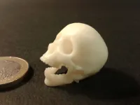 Punk skeleton-1-1
