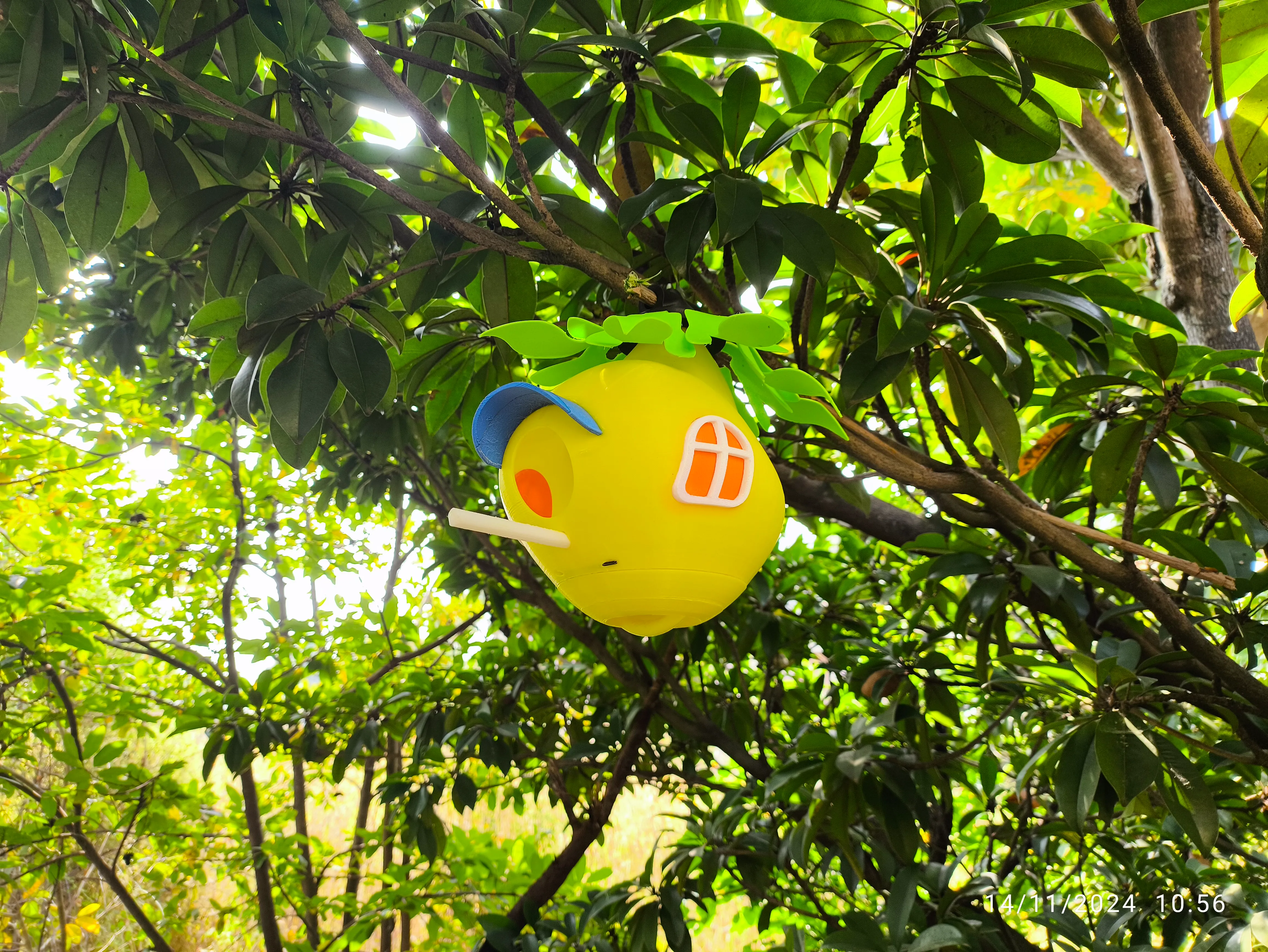 "Bird House-In Nature"