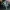Nightbird scalable action figure