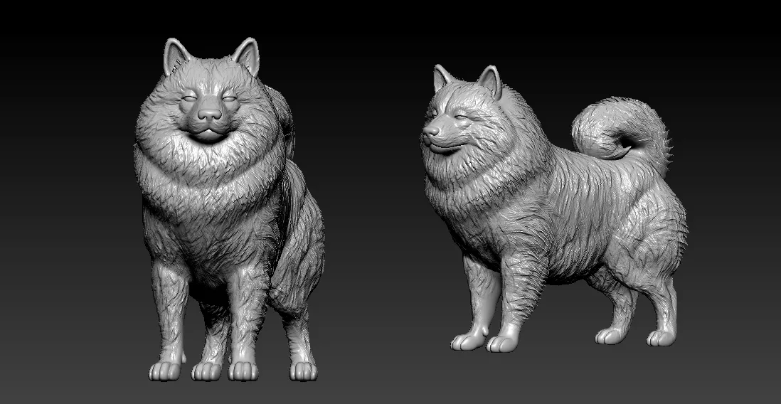 Keeshond Dog model - Dutch Barge Dog statue - 3D print
