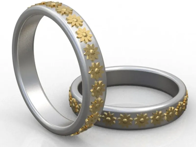 Ring (2)