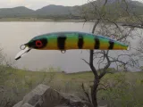 Custom bait-0