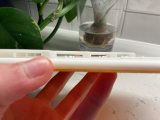 Simple Bridging Test-6