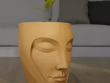 Serenity Face Planter 3D Print Model-7