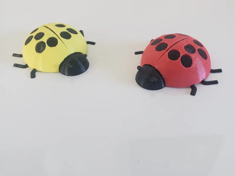Ladybug Magnet