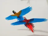 Flying Macaw-7