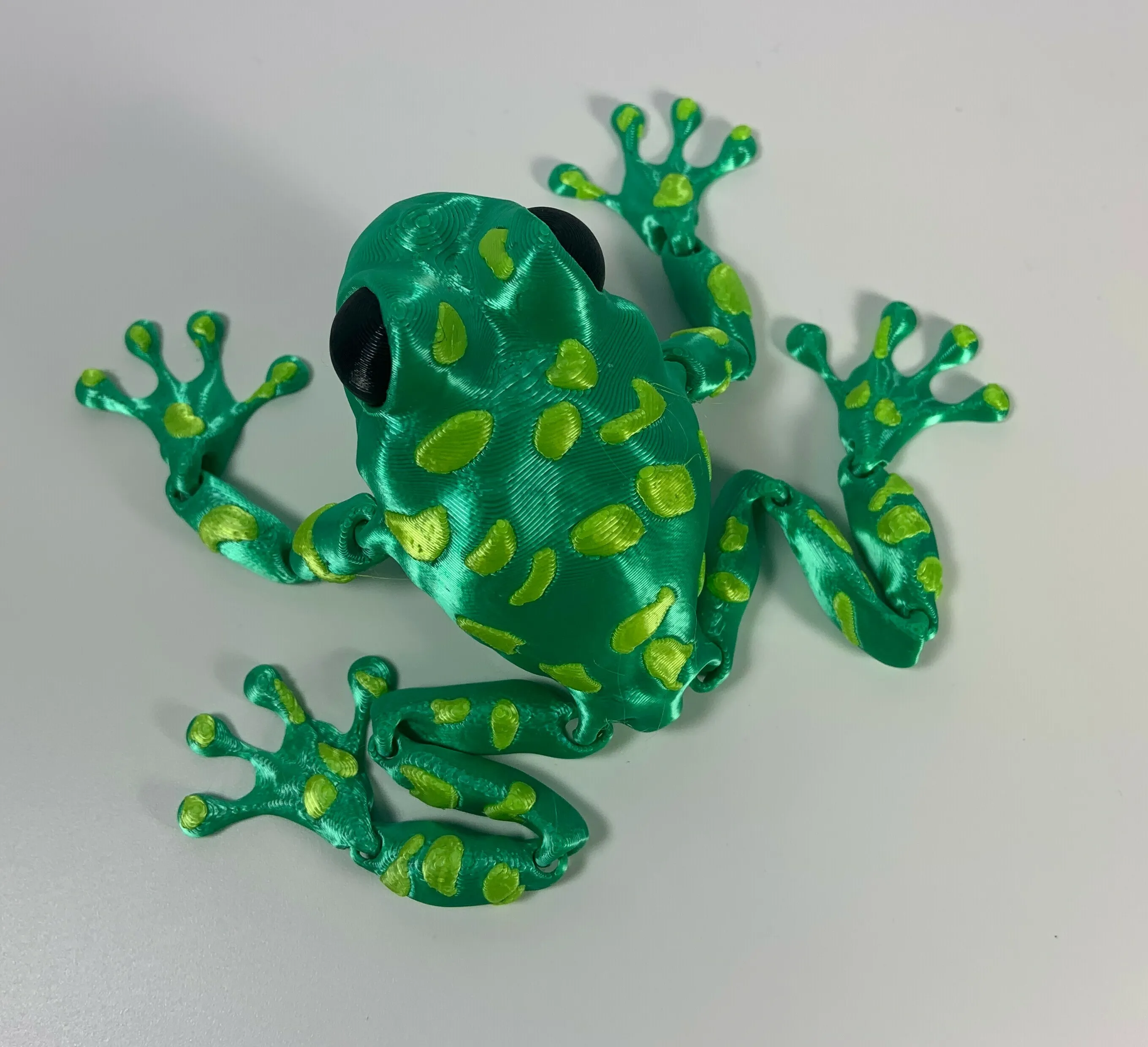 Poison Dart Frog