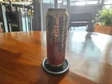 Fourth Wing Dragon Coaster-2