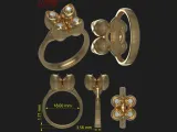 RING DESIGN-14-0