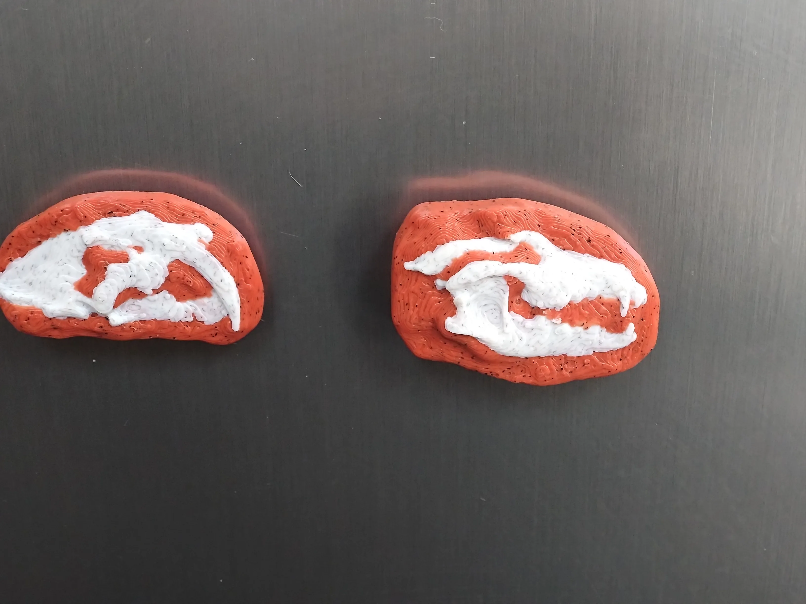 Prehistoric Mammal Fossil Skull Magnets