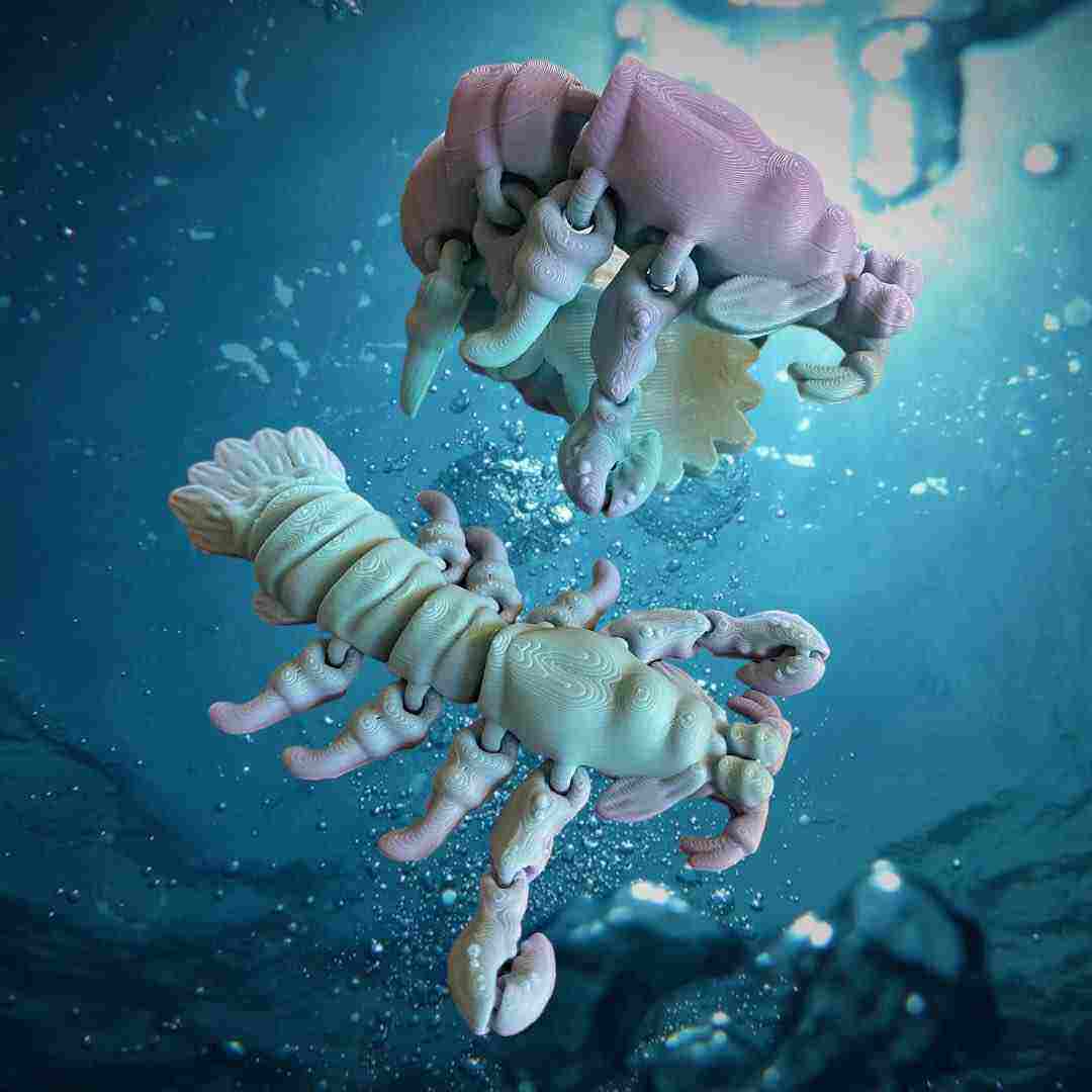Mantis Shrimp | 3D models download | Creality Cloud