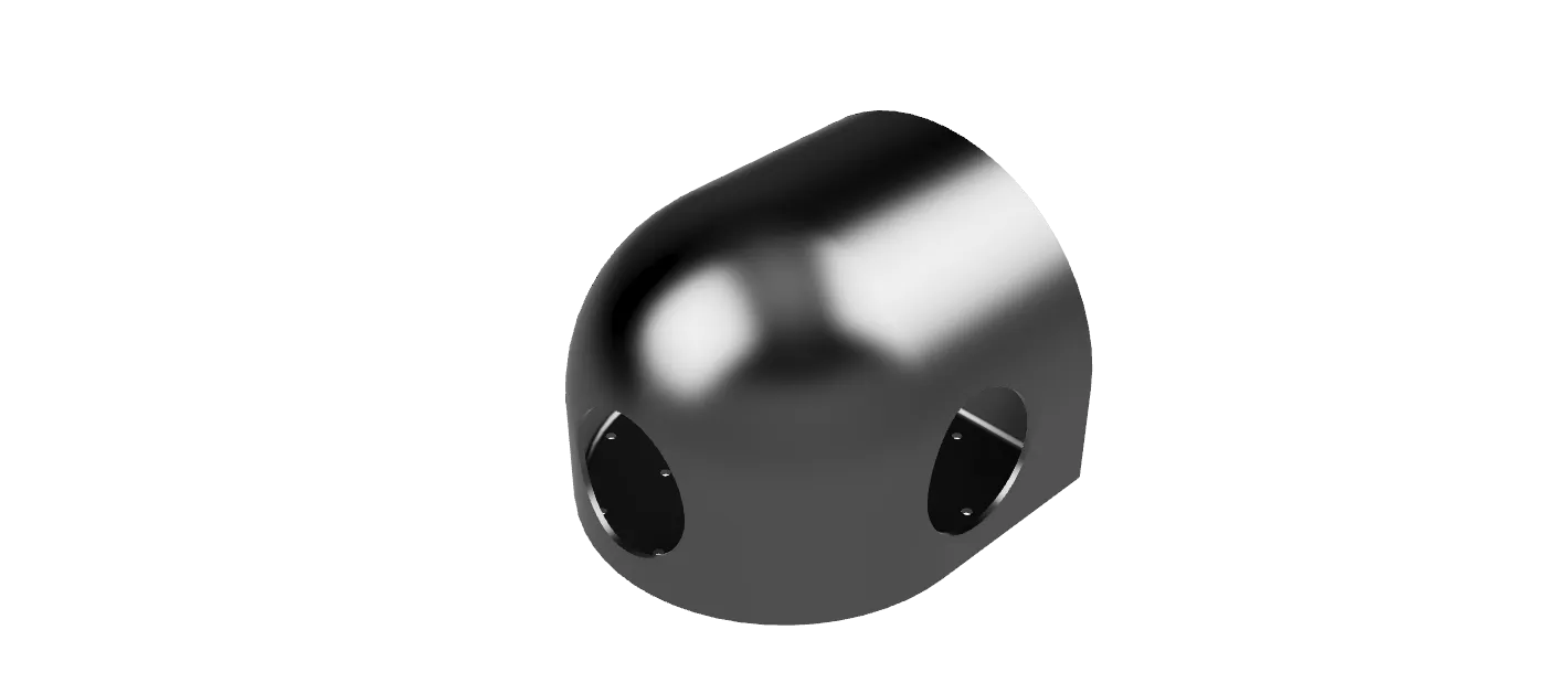 Sputnik / ratti a casa