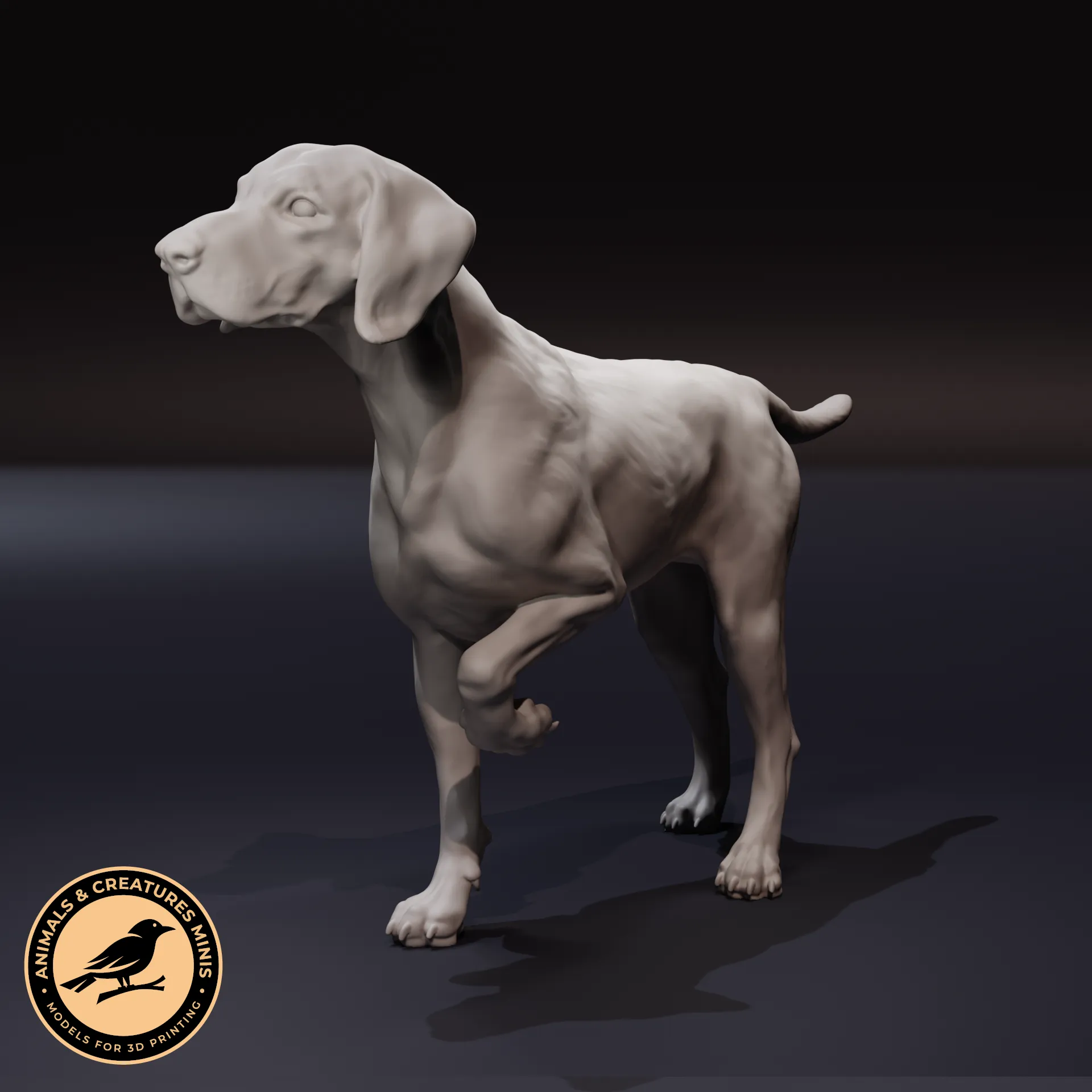 German Shorthaired Pointer