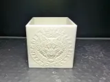 Scatola Dettagliata del Lupo-2