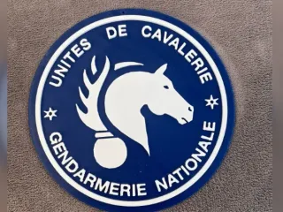 Emblem of the cavalry unit of the national gendarmerie