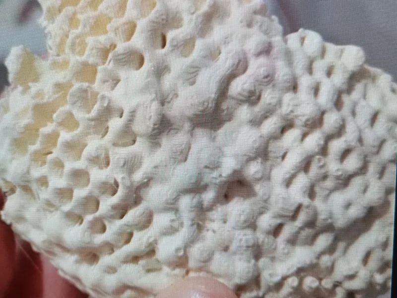 Wasp Nest for Geocaching