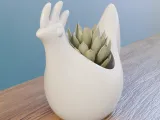 chiken planter-2