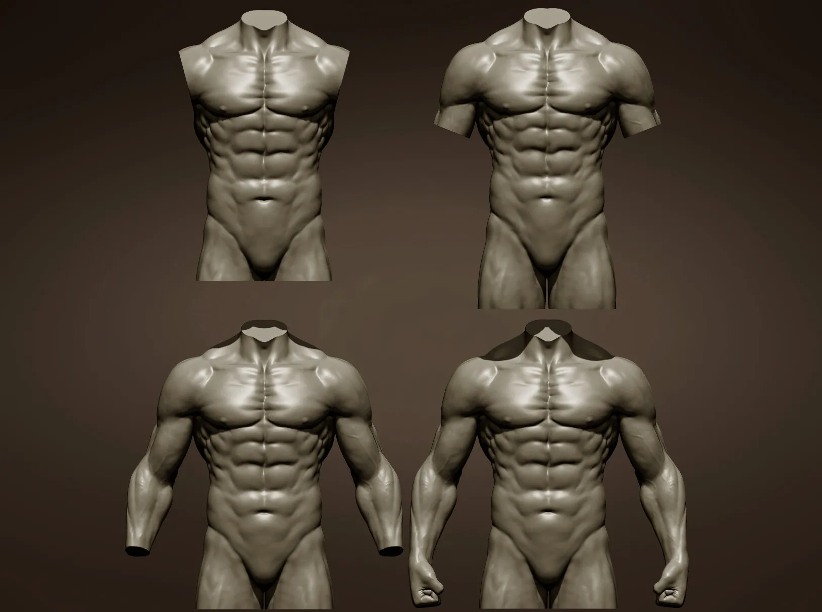 4 Torsos masculinos