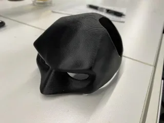 batcat