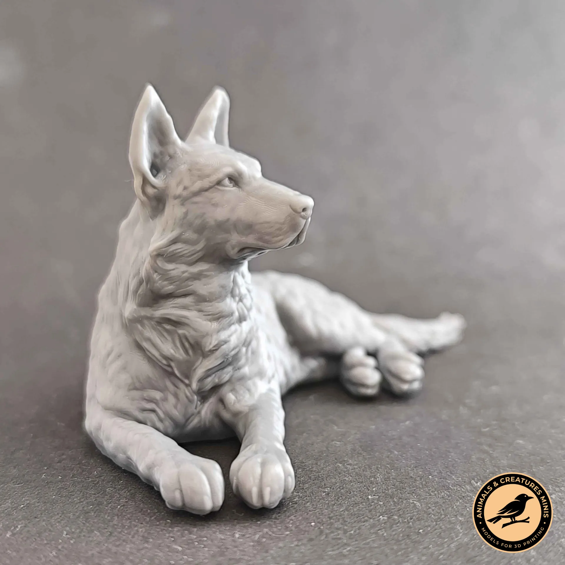 German shepherd